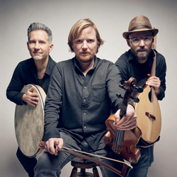 Gabriel Nietlispach Pupato (Schweiz)