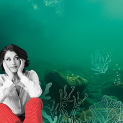 SINA - TRIO BOX SINA - TRIO BOX