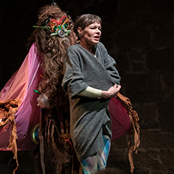 «Zum Beispiel Wölfe»