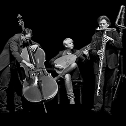 ZIEGLER/LISLEVAND/GIROD (CH/N)