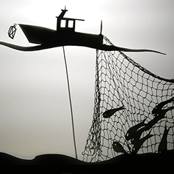 DER KLEINE STERN AUF ERDEN