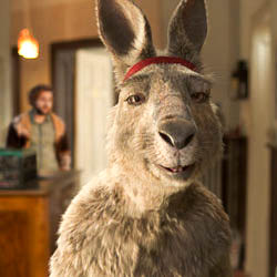 DIE KÄNGURU-CHRONIKEN DIE KÄNGURU-CHRONIKEN