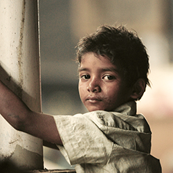 LION - DER LANGE WEG NACH HAUSE