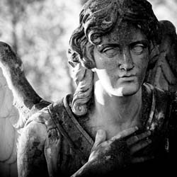 WESHALB FORELLEN QUARTETT